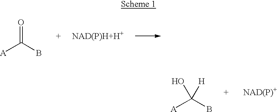 Method for reductive amination of a ketone using a mutated enzyme