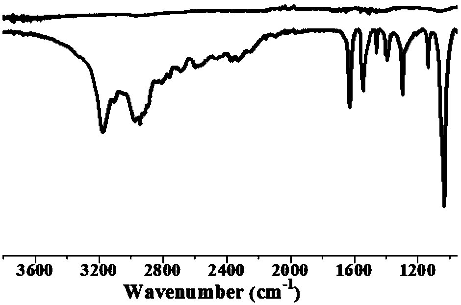 Surface-absorbing sugar-containing polymer and method for producing the same