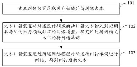 Text error correction method and device and storage medium