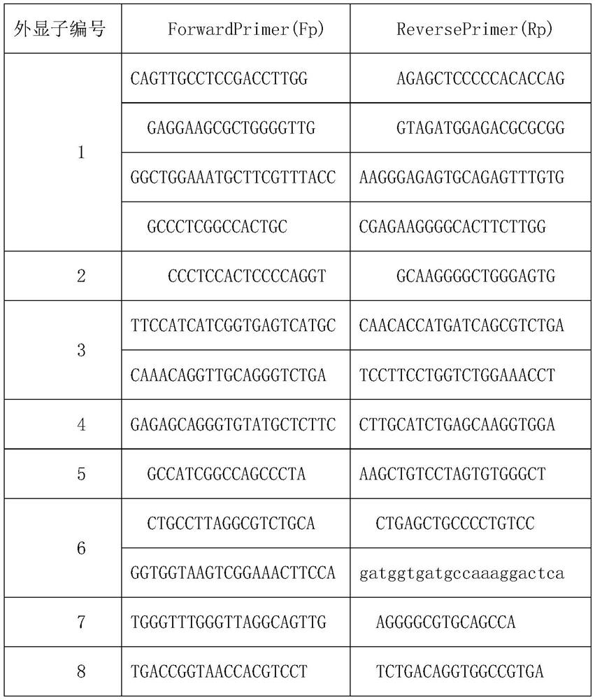 KCNQ1 gene detection kit and detection method