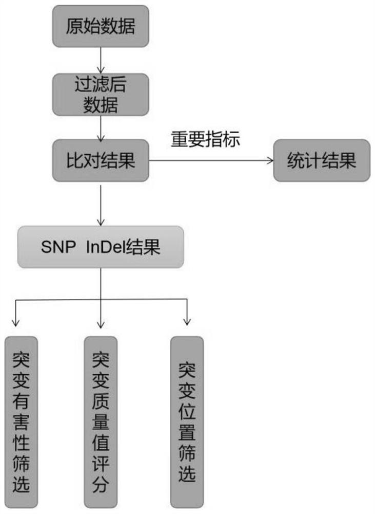 KCNQ1 gene detection kit and detection method