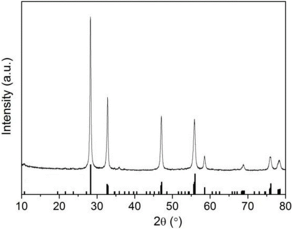 Bismuth tungstate nanometer photocatalyst and method for preparing same