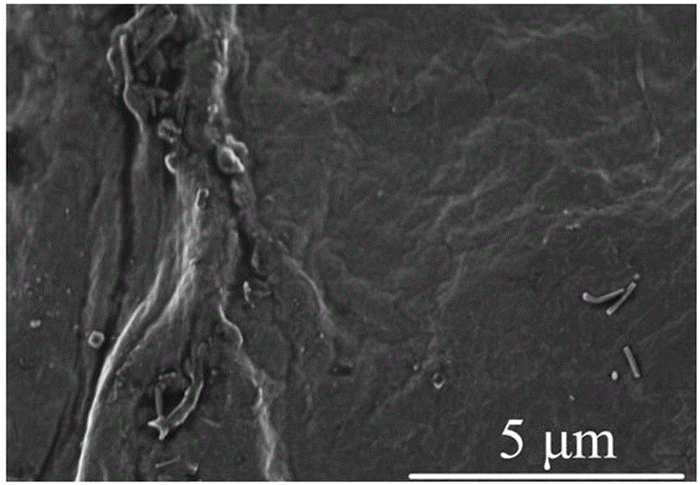 Preparation method for composite thermoelectric film with flexible reduced graphene oxide and tellurium nano wires