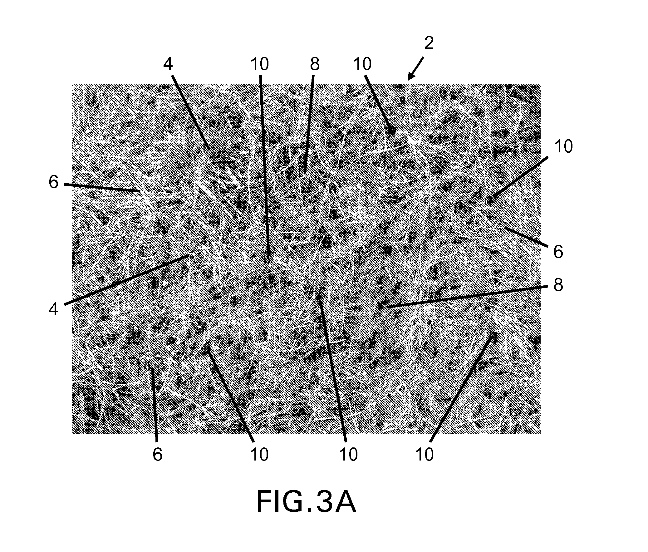 Lawn perforating tool and method of using same