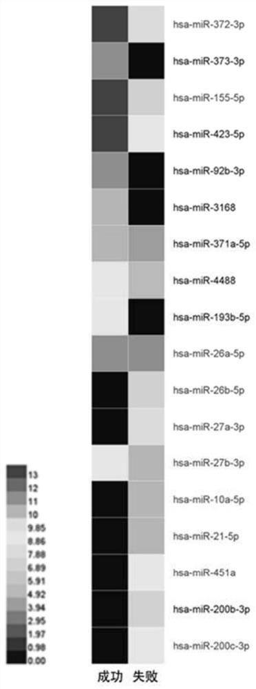 miRNA molecular markers for predicting the quality of early embryos in human assisted reproductive technology and their applications