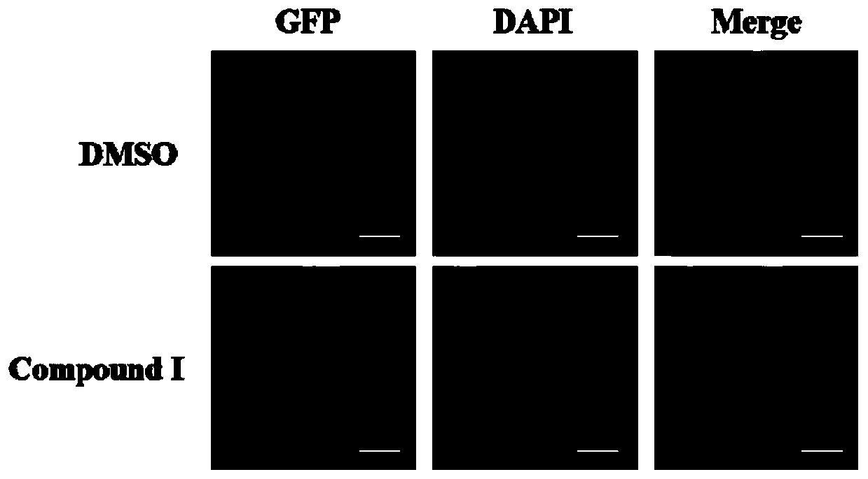 New application of pyridine compound