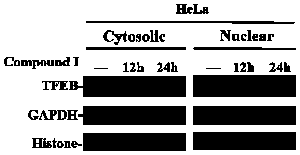 New application of pyridine compound