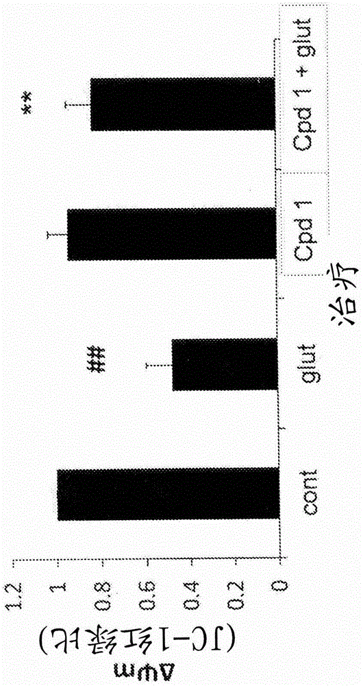 Quinazoline scaffold based compounds, pharmaceutical compositions and methods of use thereof