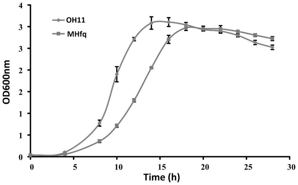 Method for increasing yield of antifungal active substance HSAF and application