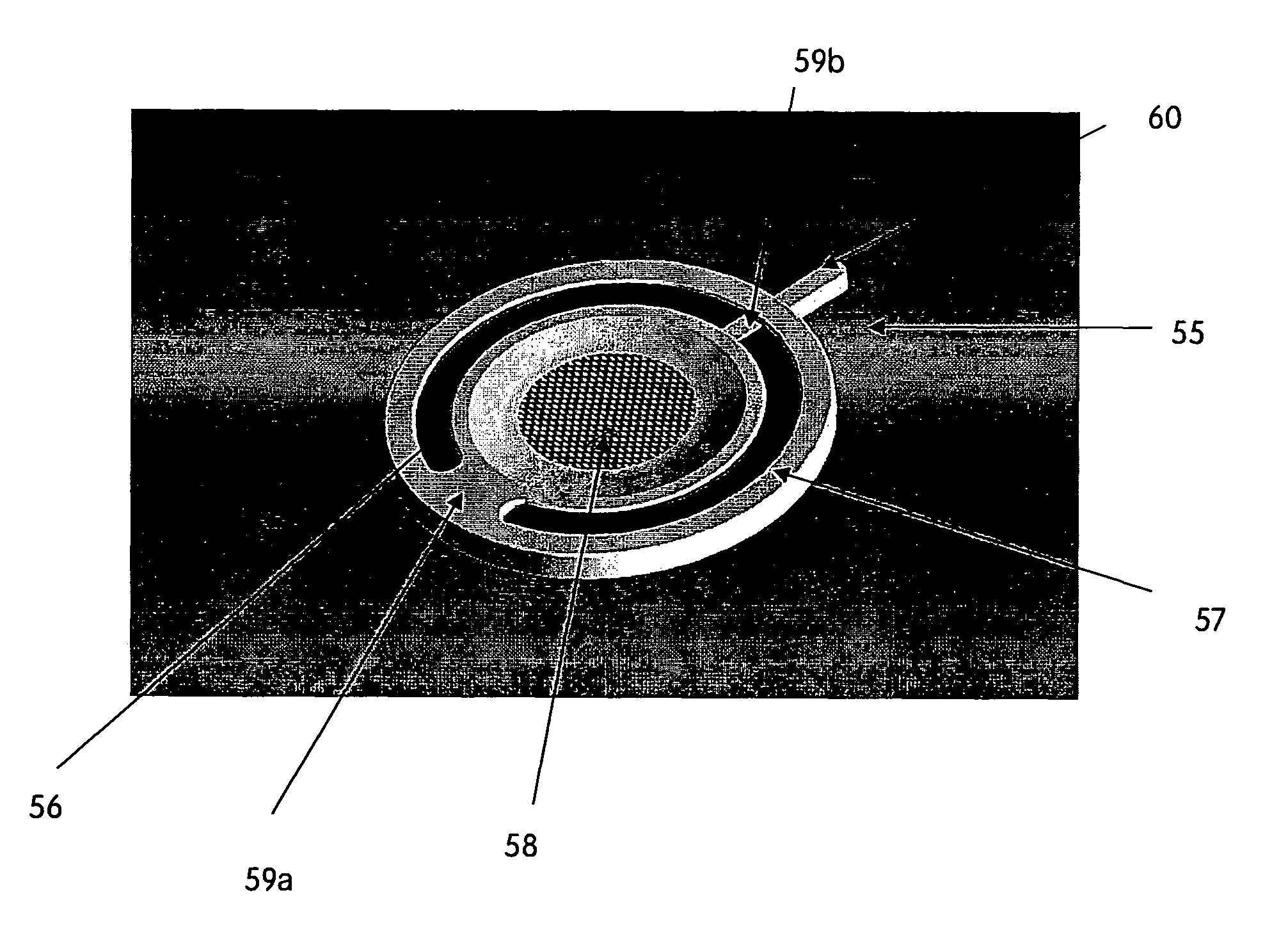 Apparatus and method for filter cleaning by ultrasound, backwashing and filter movement during the filtration of biological samples