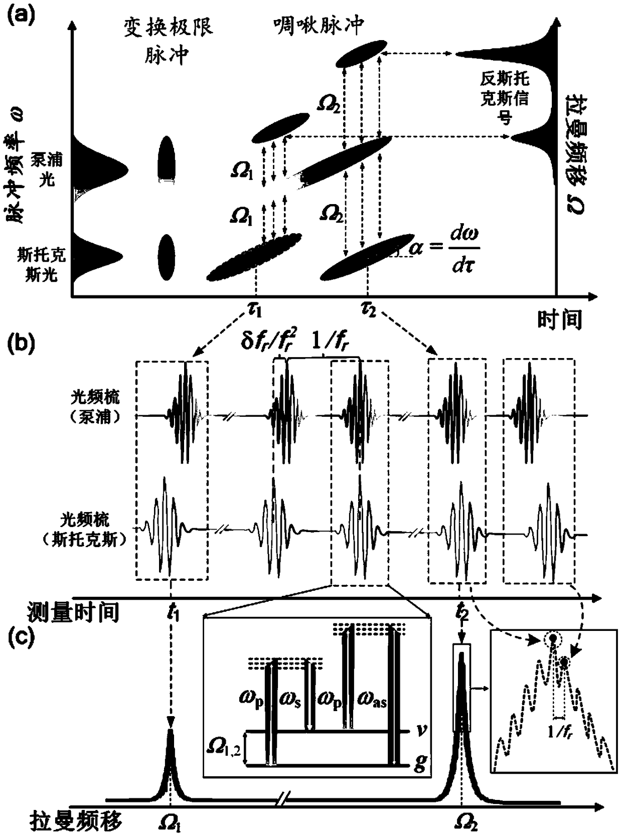 Dual-optical frequency comb spectrum focusing coherent anti-stokes Raman scattering detection system