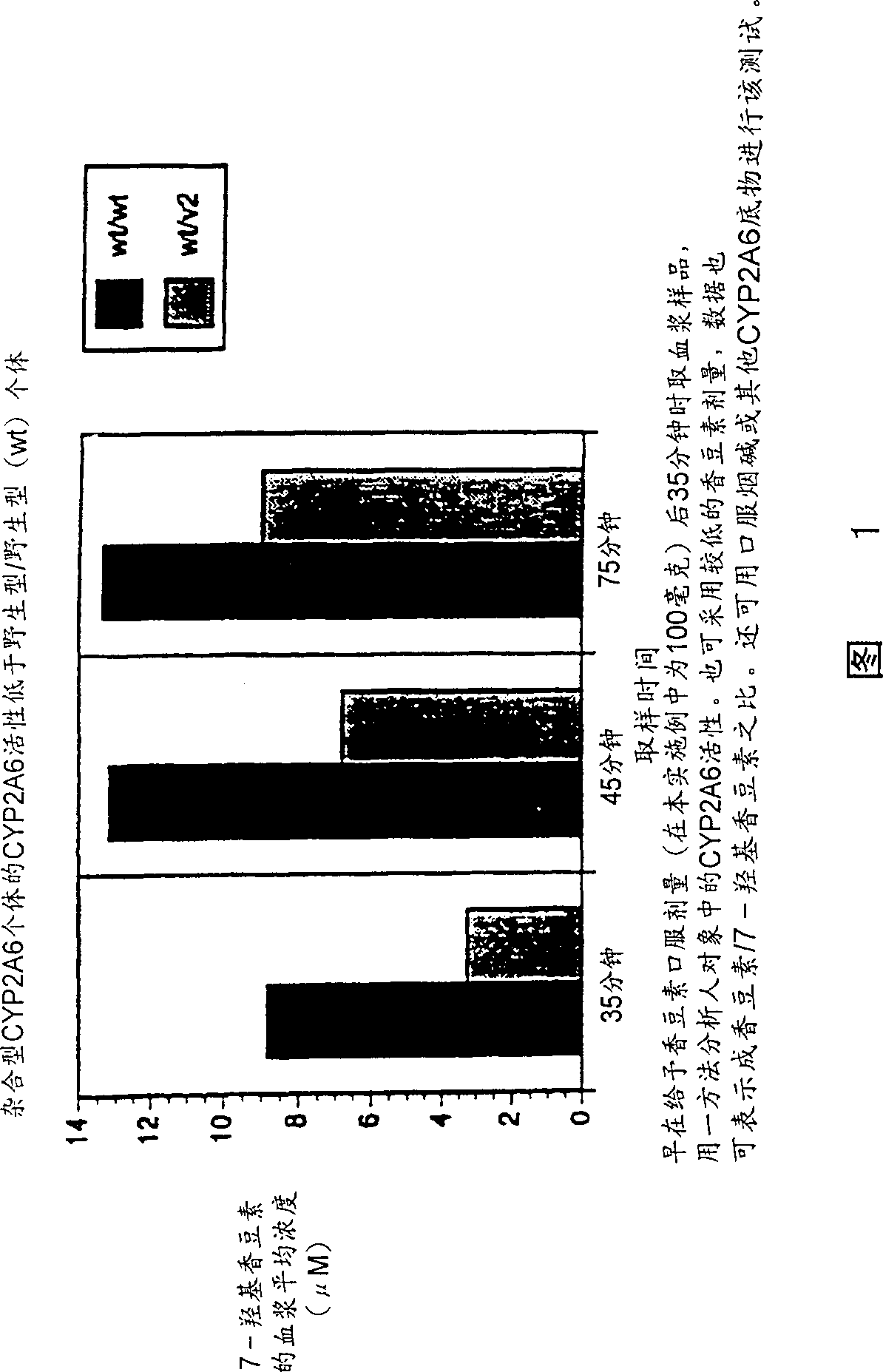 CYP2A enzymes and their use in therapeutic and diagnostic method