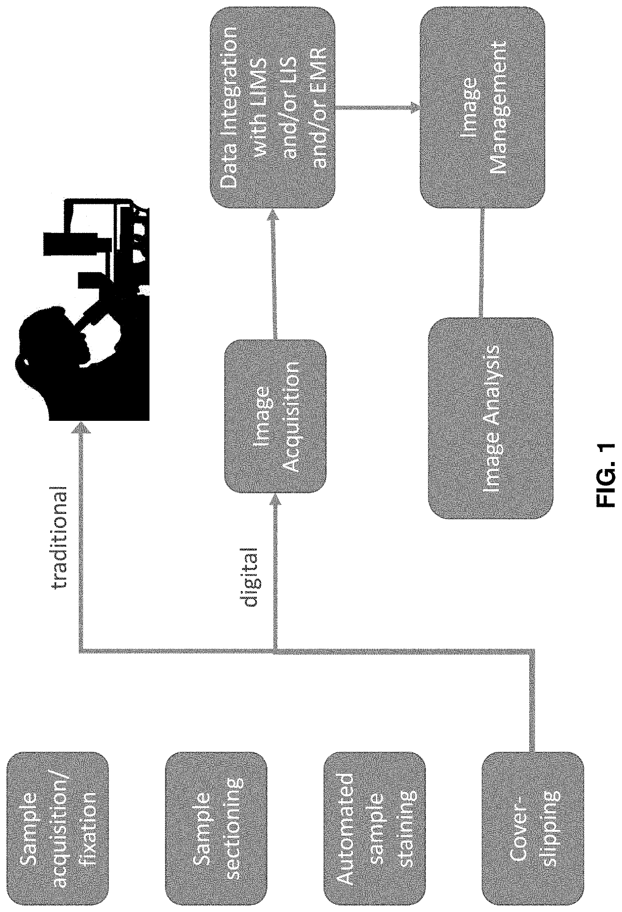 Apparatuses and methods for digital pathology