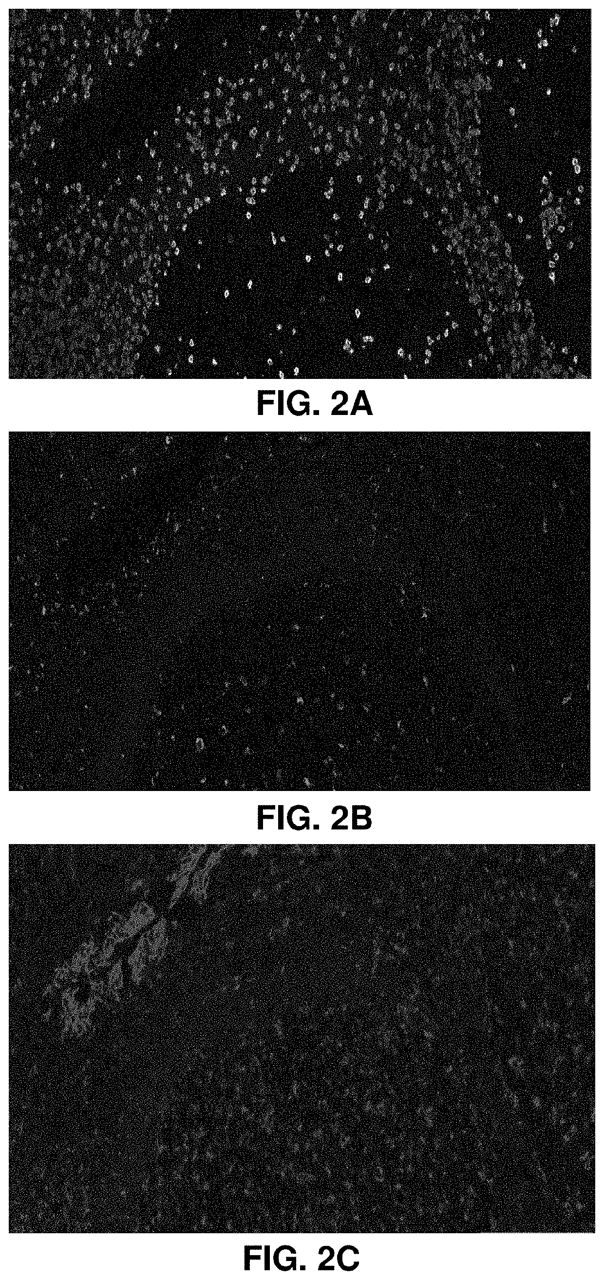 Apparatuses and methods for digital pathology