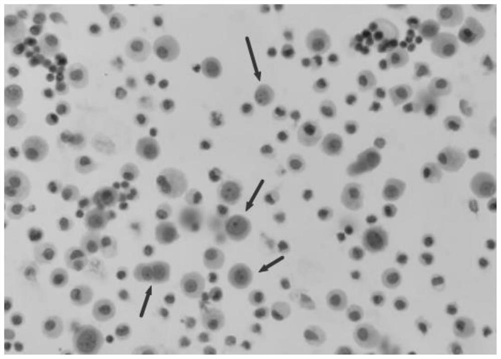 treatment-reagent-for-cast-off-cells-as-well-as-preparation-method-use