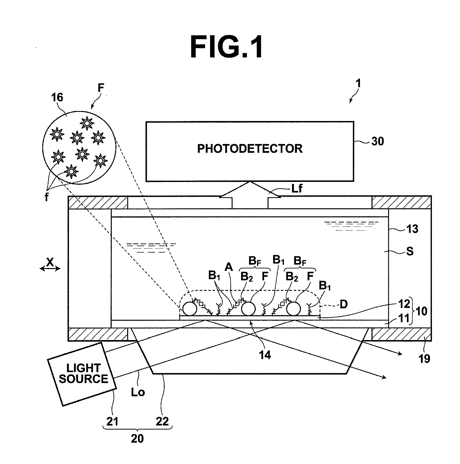 Detecting method, detecting apparatus, detection sample cell, and detecting kit