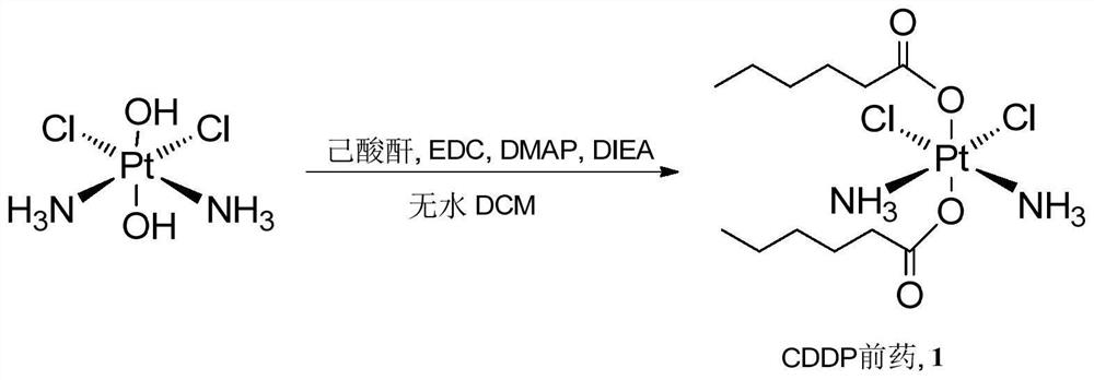 Cisplatin nano drug preparation, preparation method and application