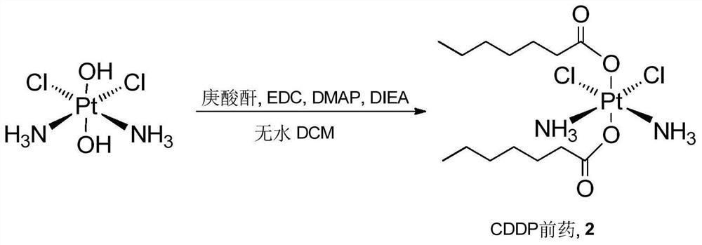 Cisplatin nano drug preparation, preparation method and application