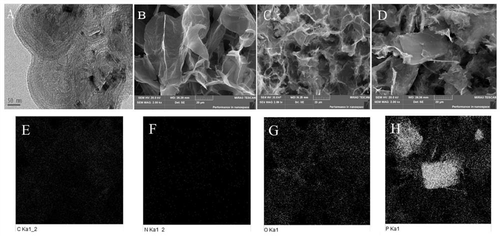 Graphene oxide-amino-beta-cyclodextrin/black phosphorus modified glassy carbon electrode as well as preparation method and application thereof