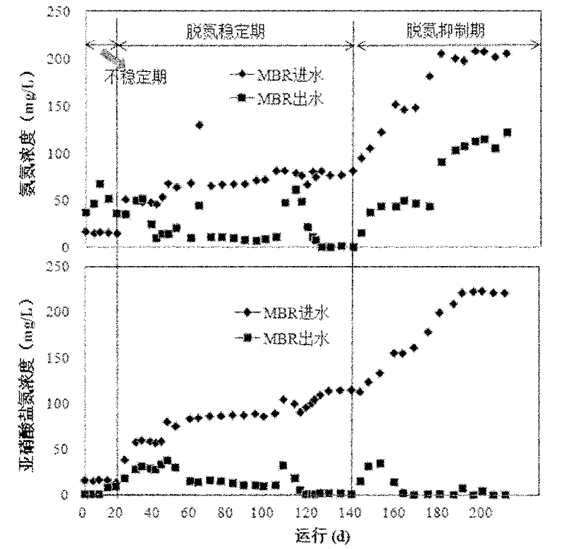 External anaerobic ammonia oxidation membrane bioreactor