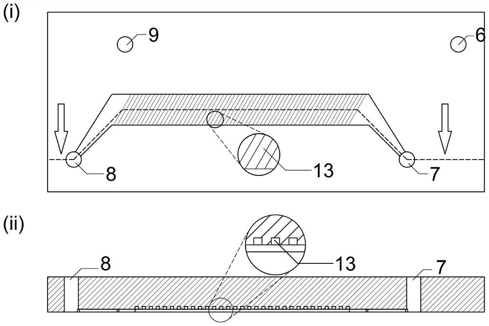 Micro-fluidic chip and application thereof