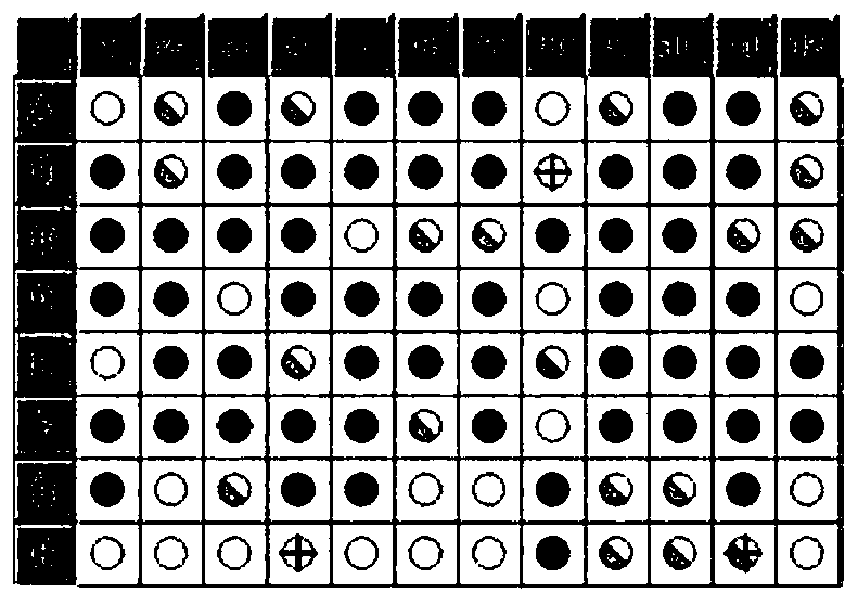 A strain of Paracoccus mutans and method for treating by-produced single-cell protein in high ammonia nitrogen wastewater