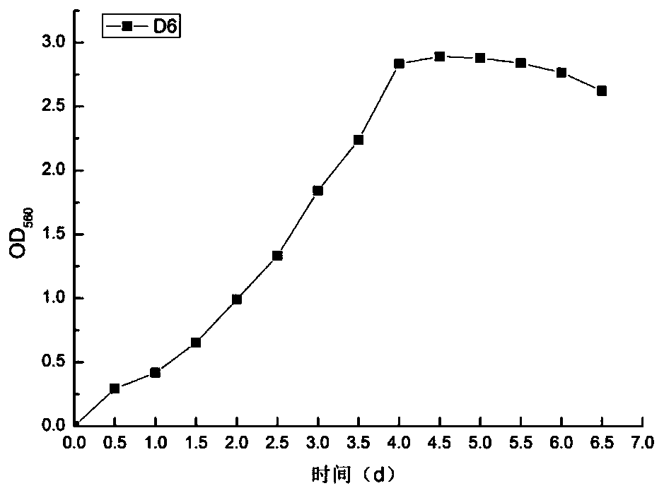 A strain of Paracoccus mutans and method for treating by-produced single-cell protein in high ammonia nitrogen wastewater