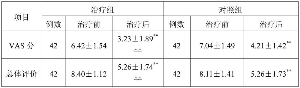 Traditional Chinese medicine composition for treating rheumatic cold arthralgia