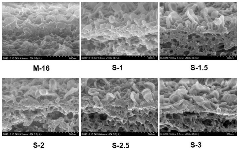 Method for enhancing selective permeability of reverse osmosis membrane by adjusting pore size of base membrane