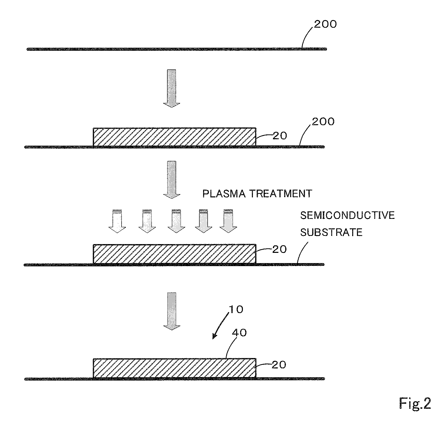 Cell culture support and production method and uses thereof