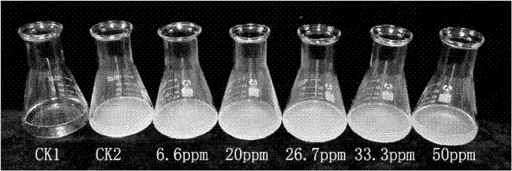 Prochloraz and thiodiazolecopper compound medicament for preventing and controlling rice seed-borne fungus and bacterium diseases