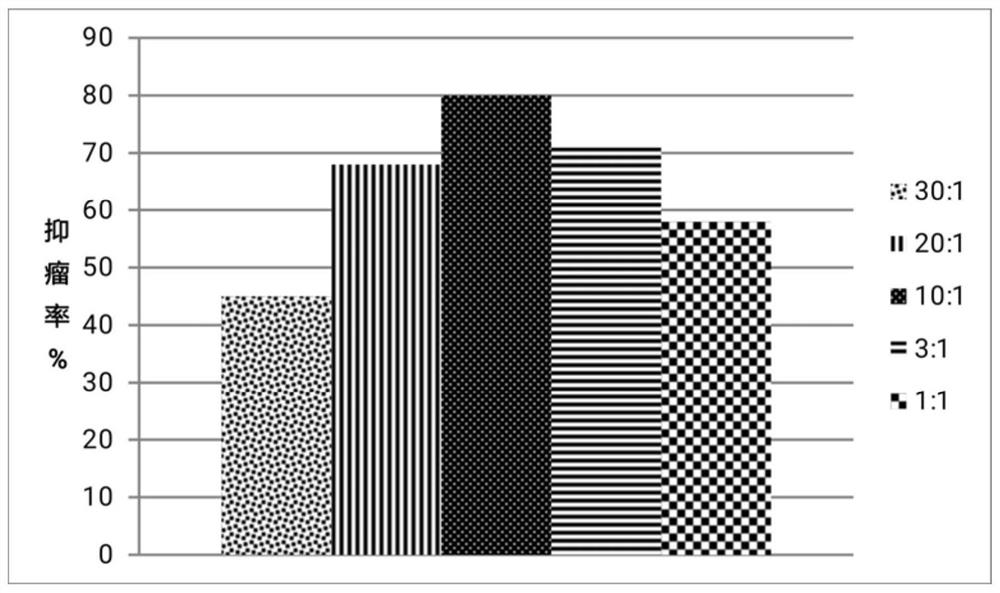 CpG medicine and anthracene ring medicine compound, preparation method and application