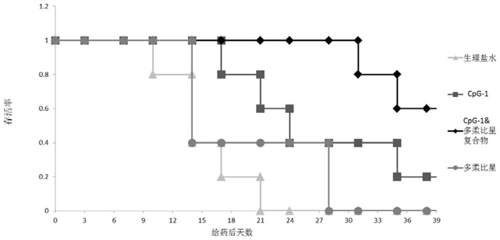 CpG medicine and anthracene ring medicine compound, preparation method and application