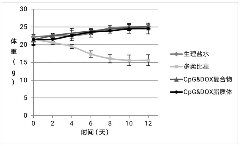 CpG medicine and anthracene ring medicine compound, preparation method and application