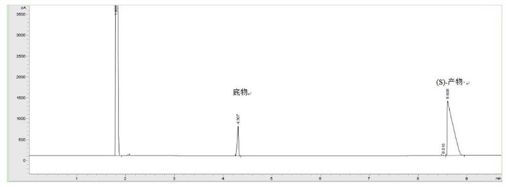 Curvularia hominis B-36 and application thereof in synthesis of chiral alcohol