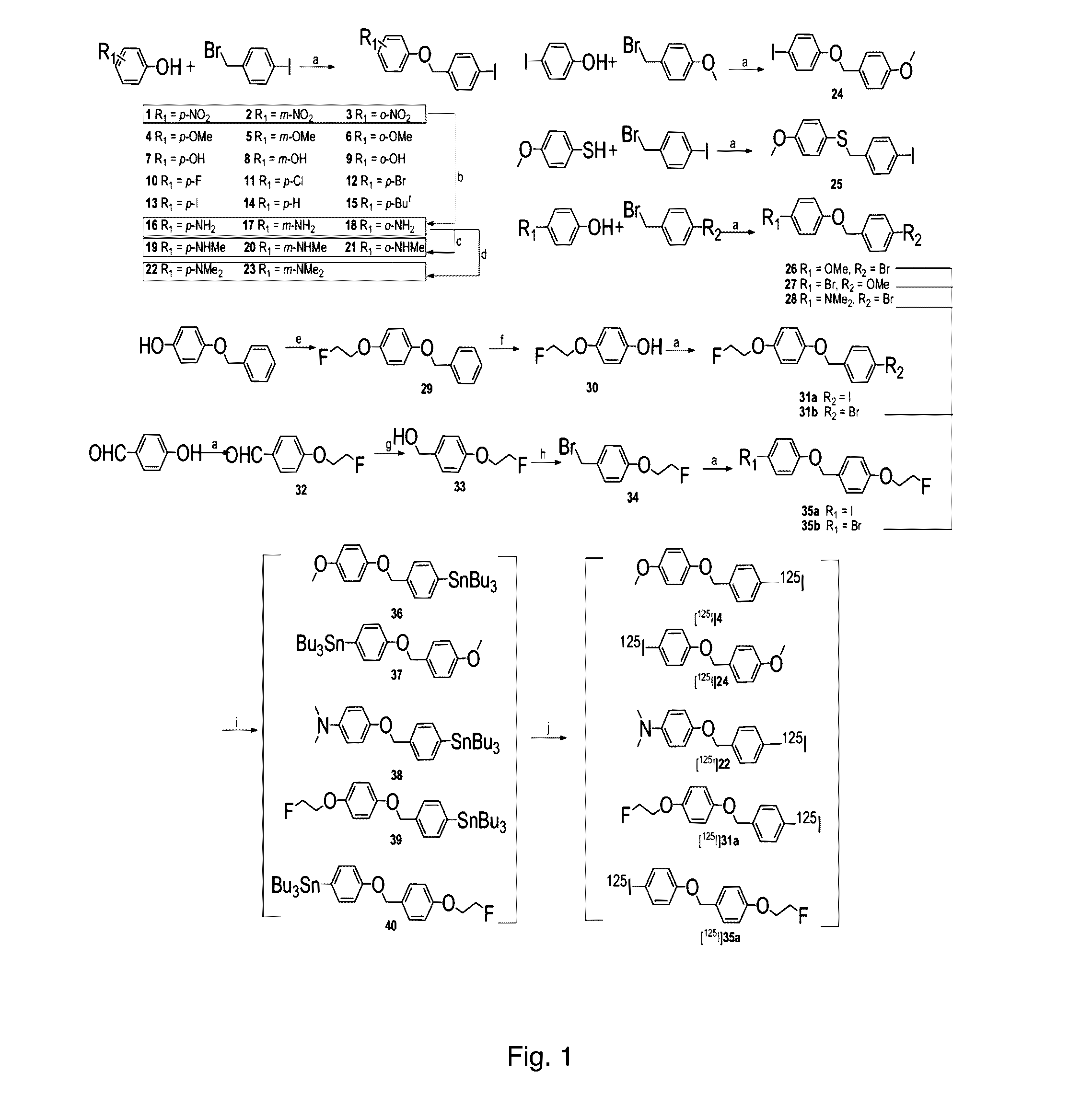 Phenyl benzyl ether derivative and preparation method and application thereof