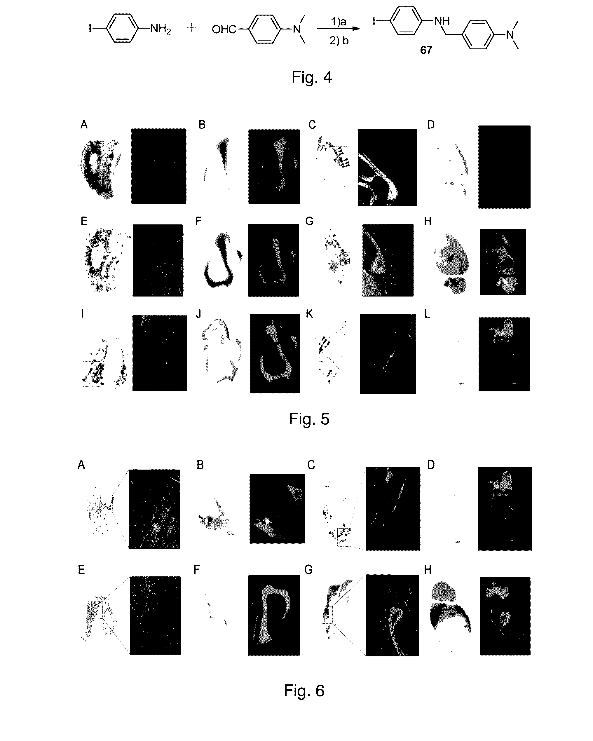 Phenyl benzyl ether derivative and preparation method and application thereof