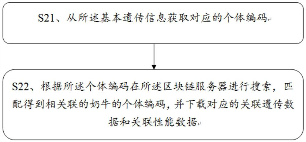 Dairy cow information storage method based on block chain