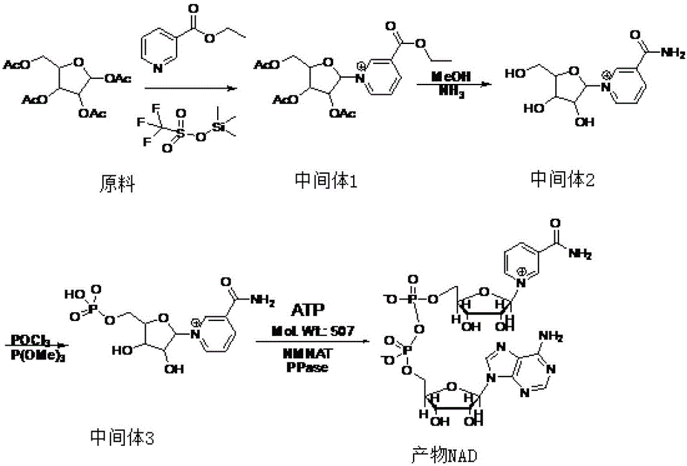 Preparation method of nicotinamide adenine dinucleotide