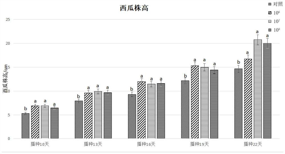 Application method and application of bacillus-containing seed coating agent