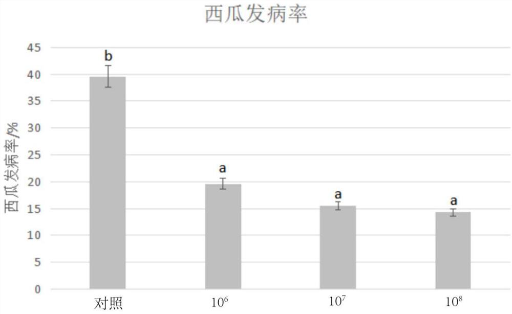 Application method and application of bacillus-containing seed coating agent