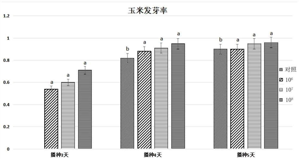 Application method and application of bacillus-containing seed coating agent