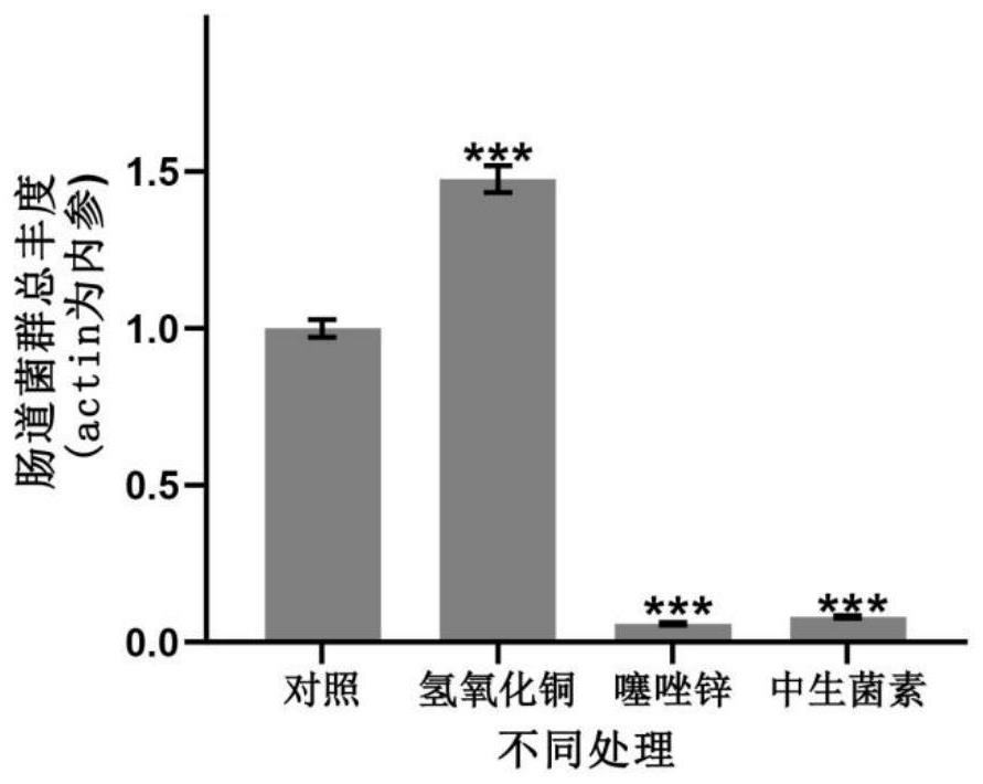 Compound cockroach-killing composition as well as preparation method and application thereof