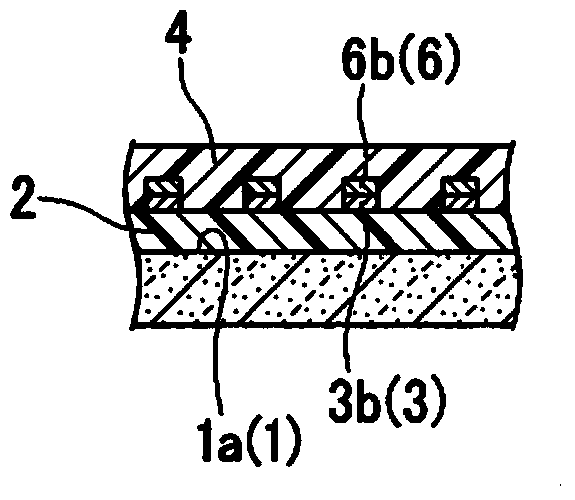 Coil wiring element and method for manufacturing coil wiring element
