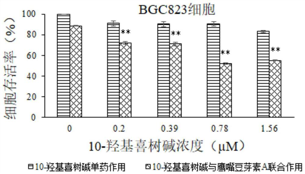 Pharmaceutical composition of 10-hydroxycamptothecin and biochanin A and application of pharmaceutical composition