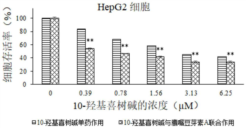 Pharmaceutical composition of 10-hydroxycamptothecin and biochanin A and application of pharmaceutical composition