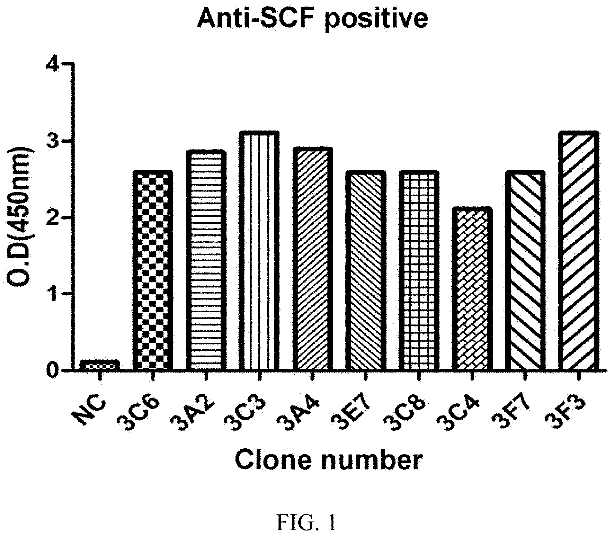 Dual-targeting antibody targeting SCF and galectin-1 and use thereof