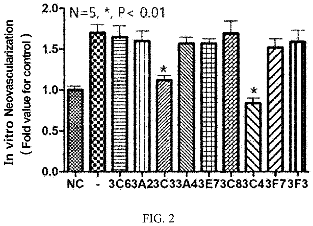 Dual-targeting antibody targeting SCF and galectin-1 and use thereof