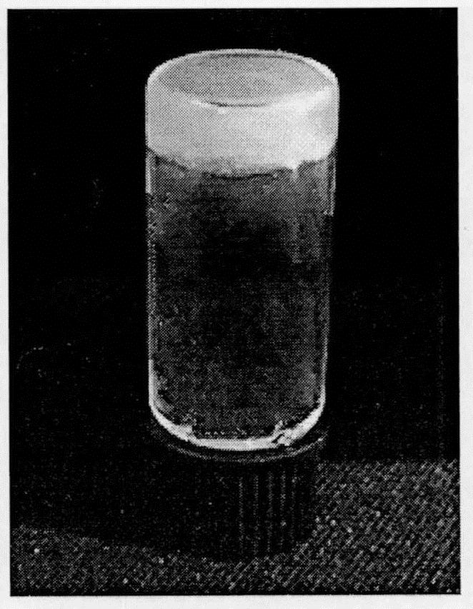 Amphotericin b polypeptide hydrogel drug-loading system for the treatment of fungal infections