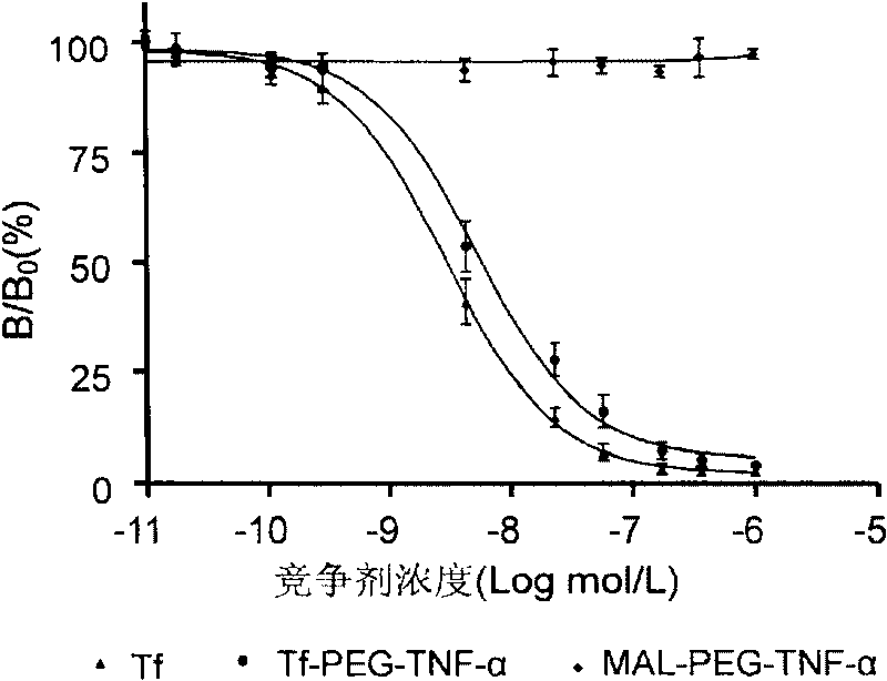 Transferrin-polyethylene glycol medicine molecular compound, and used of medicine prepared by the same